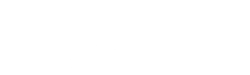 Black Bear Spirit